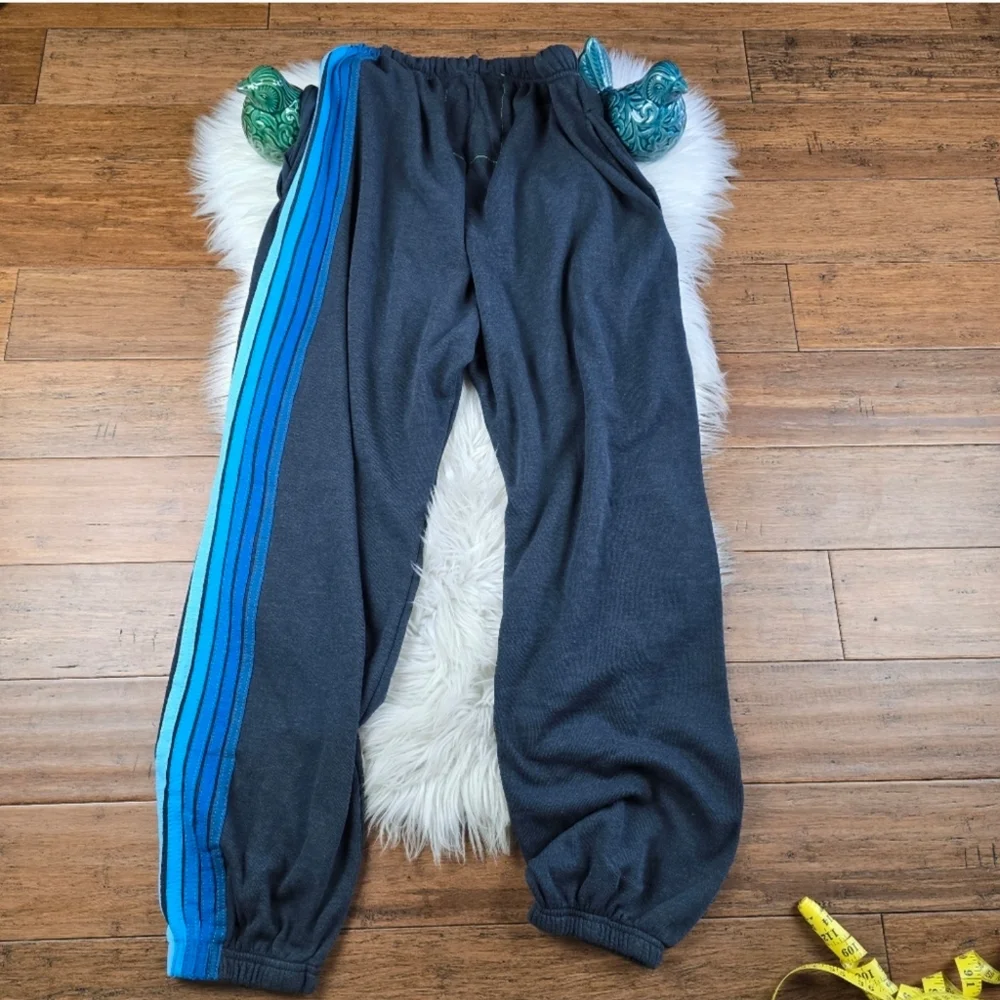 Aviator Nation 5 Stripe Jogger Mens Sweatpants XXL